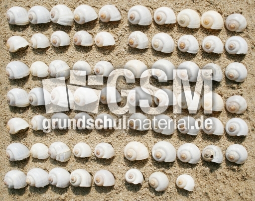 Schneckenhäuser-68.jpg